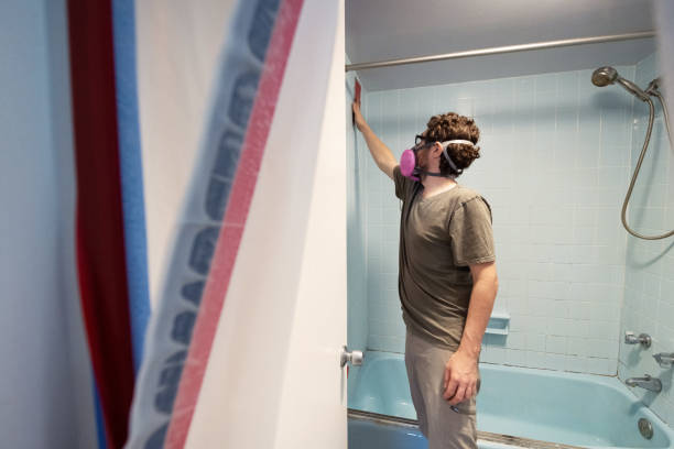 Best Dehumidification Services  in Emma, NC