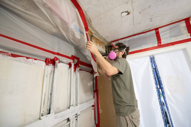 Best Mold Damage Restoration  in Emma, NC