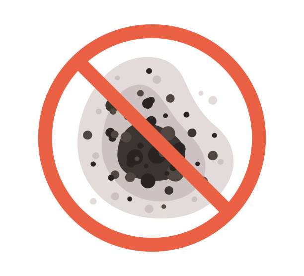 Best Biohazard Mold Removal  in Emma, NC