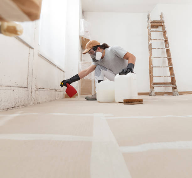 Best HVAC Mold Inspection and Cleaning  in Emma, NC
