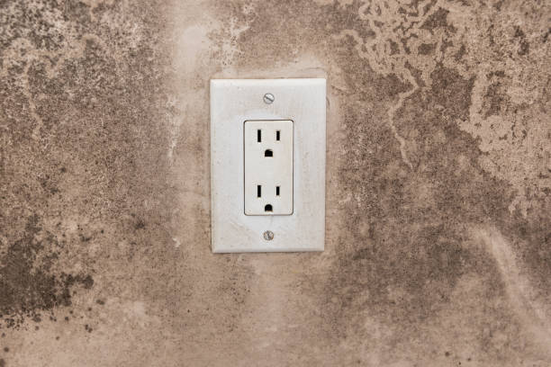 Best Commercial Mold Inspection  in Emma, NC